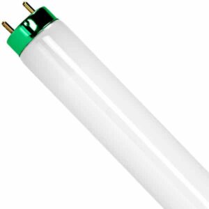 Fluorescent Light Bulb - 3'